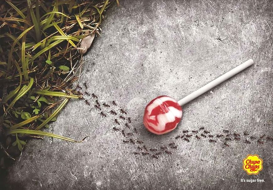  محصولات بدون قند چوپا چوپس